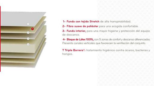 La importancia de la Protección higiénica en los Colchones